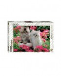Puzzle Step - Kittens, 1500 piese (60334)