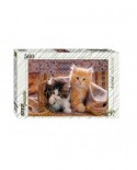 Puzzle Step - Kittens, 560 piese (60266)