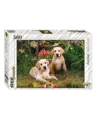 Puzzle Step - Labrador Puppies, 560 piese (60268)