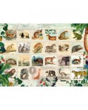 Puzzle Schmidt - Colectie de timbre cu animale salbatice, 1000 piese (58285)