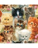 Puzzle SunsOut - Giordano Studios - A Pile of Kittens, 1000 piese (45050)