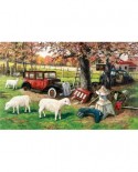 Puzzle SunsOut - Ken Zylla: Out To Pasture, 550 piese (64058)