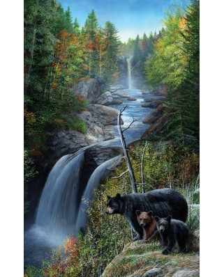 Puzzle SunsOut - Kevin Daniel: Bears at the Waterfall, 550 piese (64224)