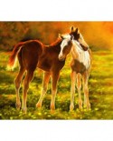 Puzzle SunsOut - Lesley Harrison: Backlit Foals, 550 piese (64060)