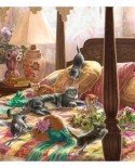 Puzzle SunsOut - Liz Goodrich Dillon: Kittens on the Bed, 550 piese (64251)