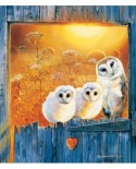 Puzzle SunsOut - Pollyanna Pickering: Owls in the Window, 550 piese (64031)