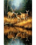 Puzzle SunsOut - Rosemary Millette: Whitetail Reflections, 550 piese (63989)