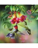 Puzzle SunsOut - Spencer Williams: Summer Hummer, 1000 piese (64281)