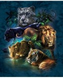 Puzzle SunsOut - Tami Alba: Big Cat Prowess, 1000 piese (64183)