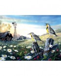 Puzzle SunsOut - Terry Doughty: Meadow Outpost, 1000 piese (64347)