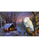Puzzle SunsOut - Terry Doughty: Night Watch, 1000 piese (64351)