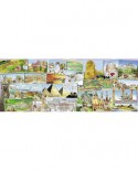 Puzzle Nathan - Asterix and Obelix, 1000 piese (57468)