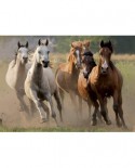 Puzzle Nathan - Herd of Wild Horses, 1000 piese (5241)