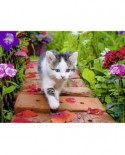 Puzzle Nathan - Kitten, 500 piese (62523)