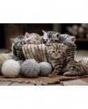 Puzzle Nathan - Kittens, 1500 piese (62557)