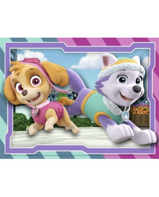 Puzzle Nathan - Paw Patrol, 30 piese (62479)