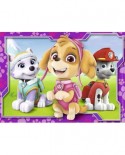 Puzzle Nathan - Paw Patrol, 45 piese (62490)