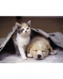 Puzzle Nathan - Puppy and Kitten, 250 piese (52658)