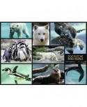 Puzzle Nathan - Zoo, 500 piese (62514)