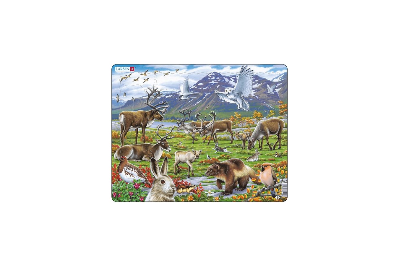 Puzzle Larsen - Die Tiere Lapplands, 50 piese (48417)