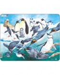 Puzzle Larsen - Pinguine, 50 piese (48410)