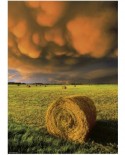 Puzzle Heye - Before the storm, 1000 piese (40797)