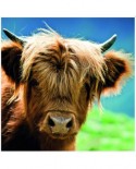Puzzle Heye - Highland Cow, 1000 piese (51818)