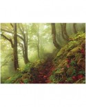 Puzzle Heye - Magic Forest: The Path, 1000 piese (41185)