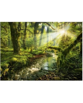 Puzzle Heye - Magic Forests, Spirit Garden, 1000 piese (57729)
