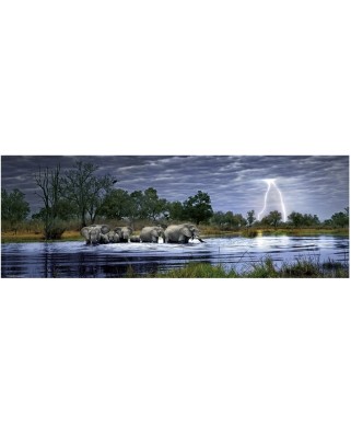 Puzzle panoramic Heye - Alex Bernasconi: Herd of elephants, 2000 piese (40812)