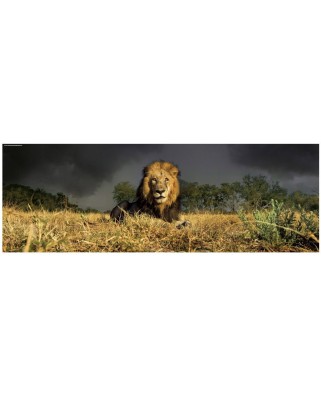 Puzzle panoramic Heye - Alex Bernasconi: Lion, 1000 piese (41188)