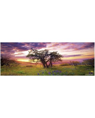 Puzzle panoramic Heye - Marc Adamus: The Oak, 75 piese (41205)