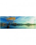 Puzzle panoramic Heye - Todd Sisson: Lake Wanaka, 1000 piese (49501)