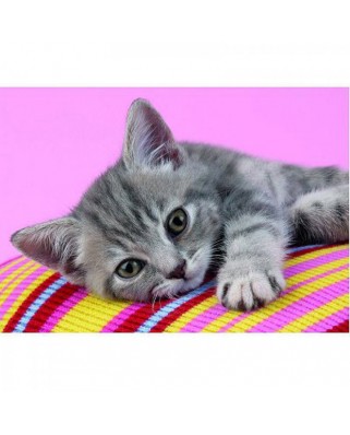 Puzzle Clementoni - Affectionate Little Cat, 500 piese (3569)