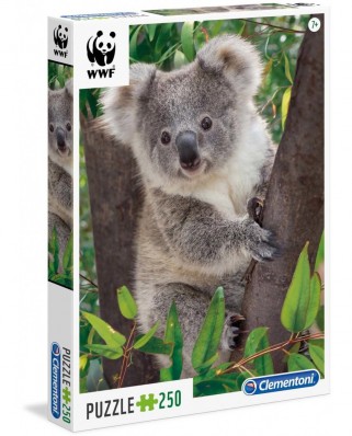 Puzzle Clementoni - Baby Koala, 250 piese (62390)