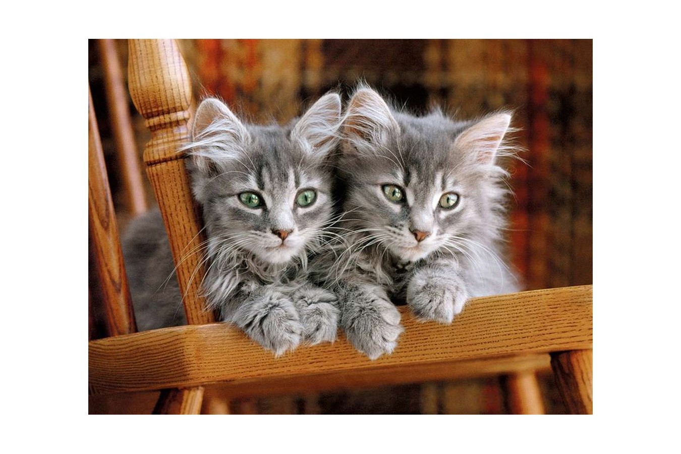 Puzzle Clementoni - Gray Kittens on the chair, 500 piese (44107)