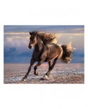 Puzzle Clementoni - Horse in Freedom, 1000 piese (62321)