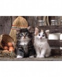 Puzzle Clementoni - Kittens, 1000 piese (53769)