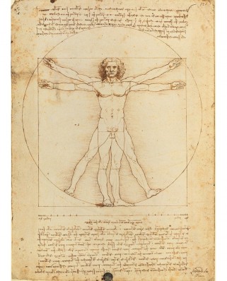 Puzzle Clementoni - Leonardo Da Vinci: The Vitruvian Man, 500 piese (50472)