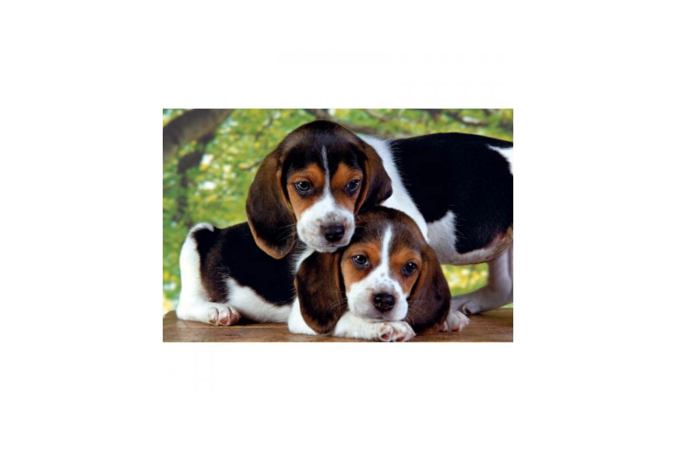 Puzzle Clementoni - Two Dogs, 500 piese (3615)