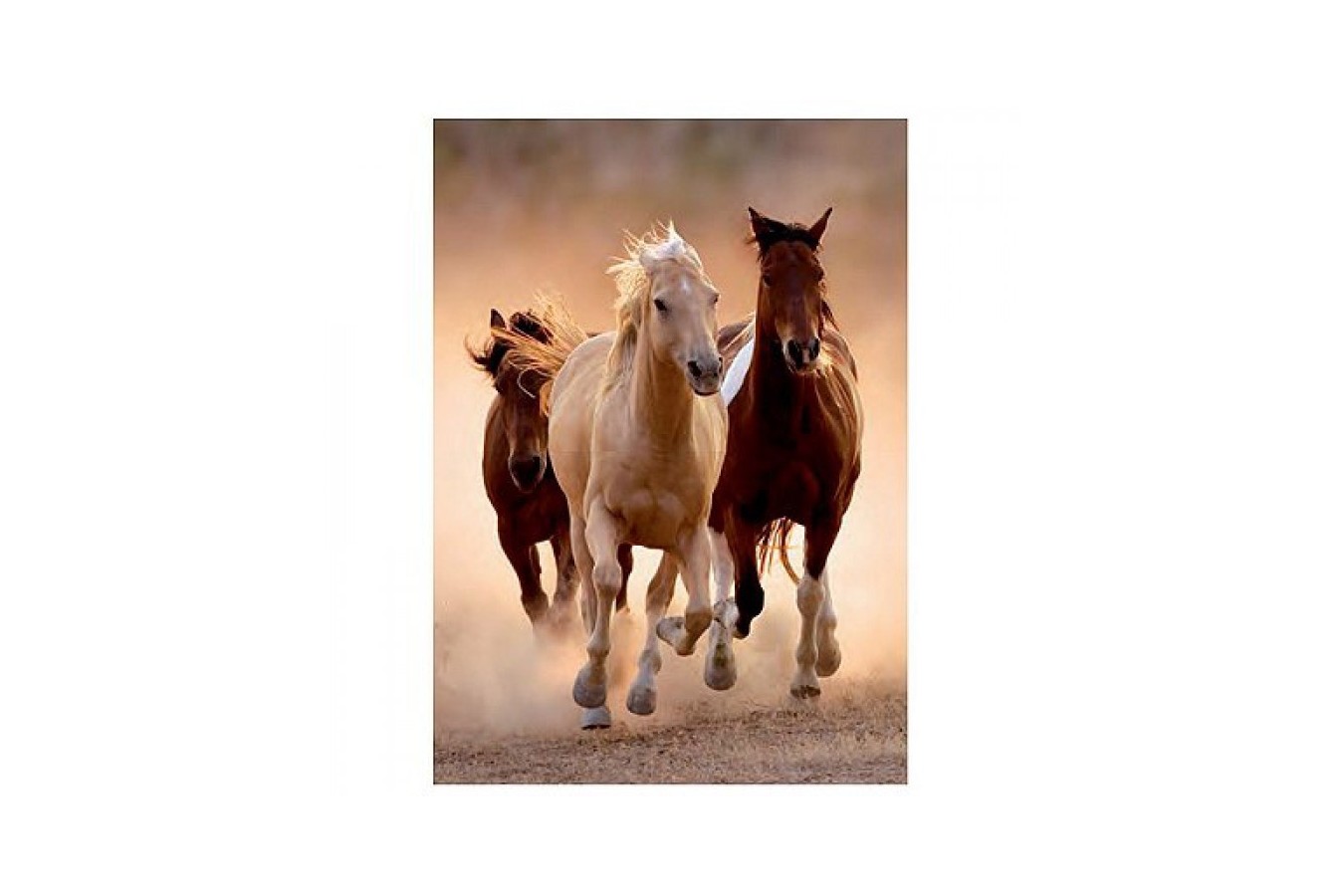Puzzle Clementoni - Wild Horses Galloping, 1000 piese (6309)