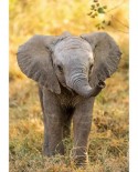 Puzzle Clementoni - WWF - Elephant, 104 piese (60859)