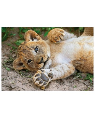 Puzzle Clementoni - WWF - Lion cub, 250 piese (60867)