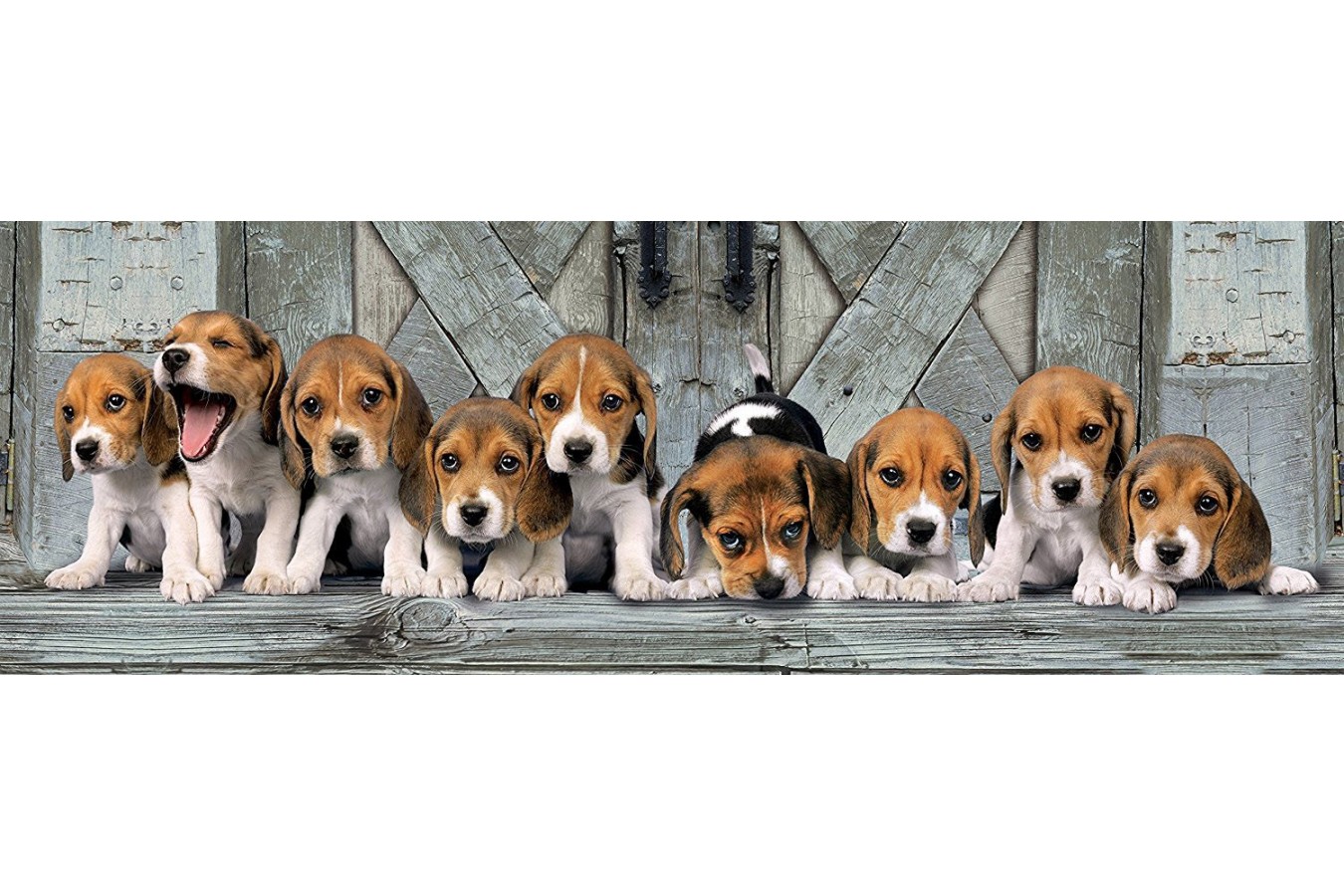 Puzzle panoramic Clementoni - Beagles, 1000 piese (62415)