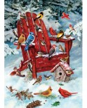 Puzzle Cobble Hill - Adirondack Birds, 1000 piese (51171)