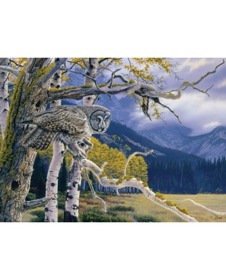 Puzzle Cobble Hill - Al Agnew: Great Grey Owl, 1000 piese (44369)
