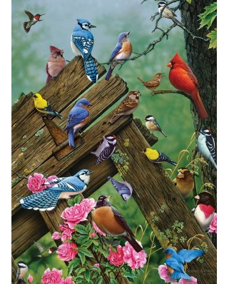Puzzle Cobble Hill - Birds of the Forest, 1000 piese (47554)