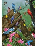 Puzzle Cobble Hill - Birds of the Forest, 1000 piese (56146)