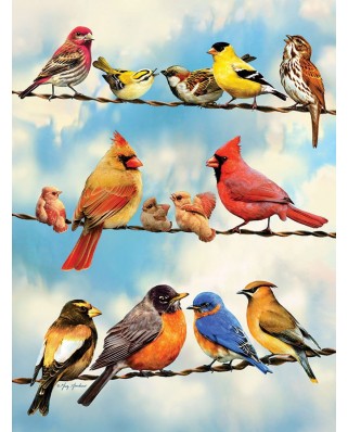 Puzzle Cobble Hill - Birds on a Wire, 500 piese XXL (48113)