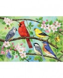 Puzzle Cobble Hill - Bloomin' Birds, 350 piese XXL (64925)